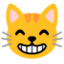 :smile_cat:
